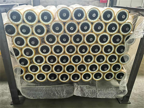 Mayroon ka bang pag -unawa sa nagtatrabaho na prinsipyo at mga tagubilin sa pagpapanatili ng roller?